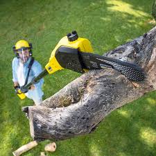 Best Lawn Pest Prevention  in Sierra Madre, CA