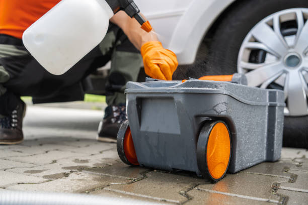 Best Stump Grinding and Removal  in Sierra Madre, CA